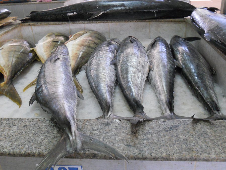 Frische Fische auf Eis an einem Marktstand