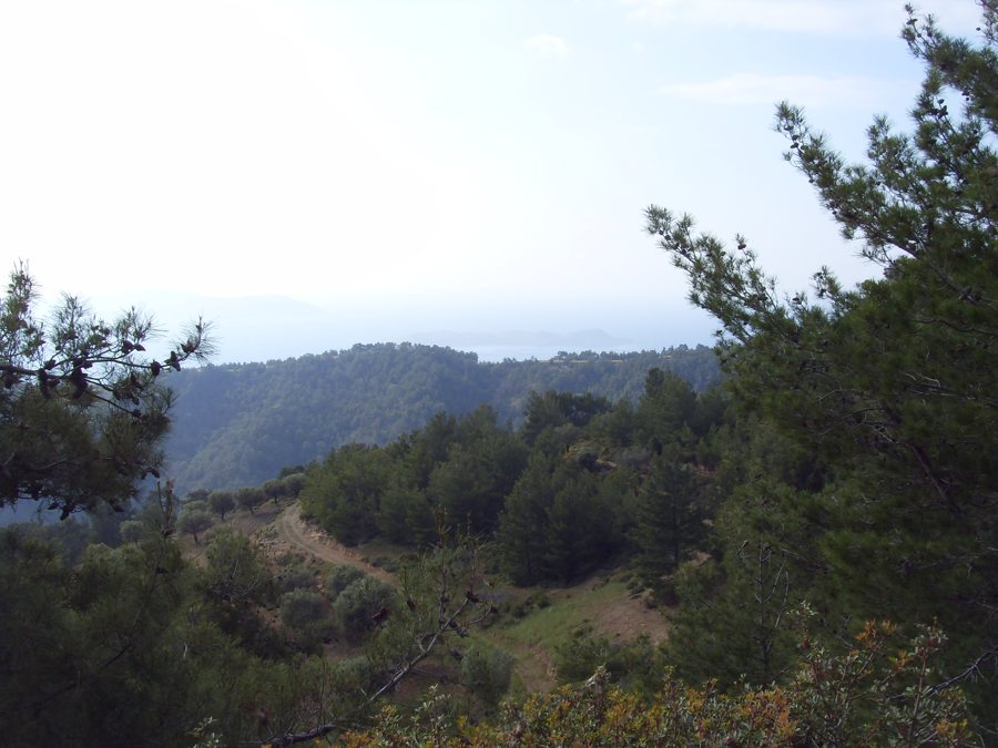 Schmaler Weg durch bewaldete Hügel auf Rhodos.